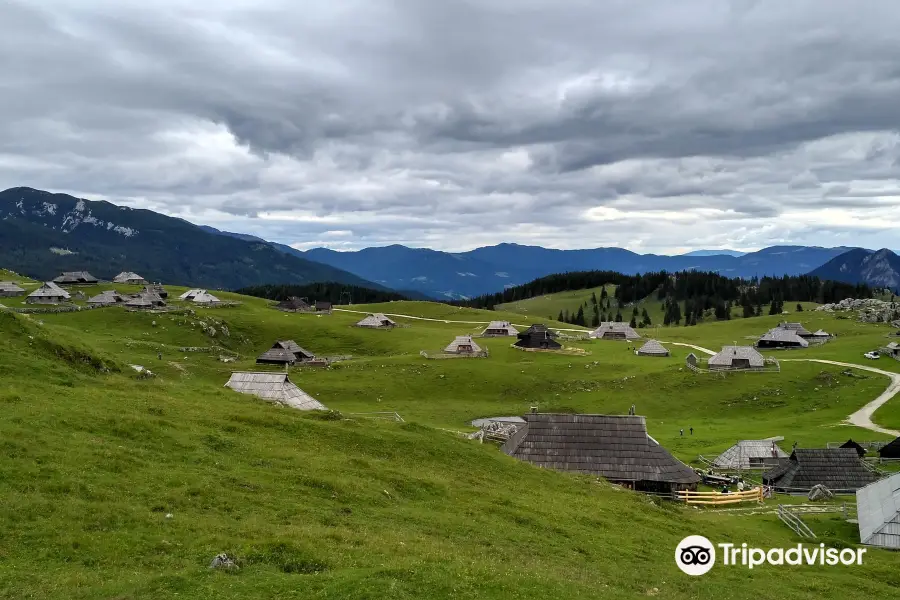 Velika Planina