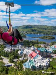 Ziptrek Ecotours