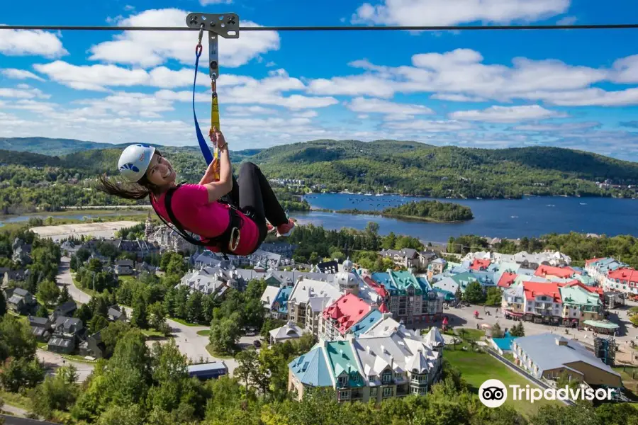 Ziptrek Ecotours