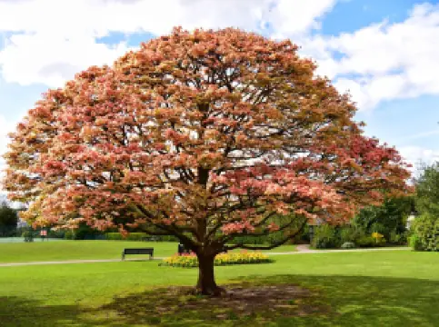 Popular Spring Outings in Birmingham