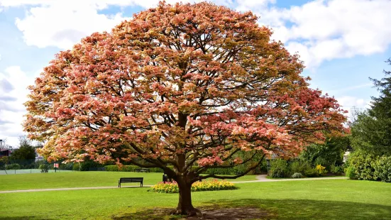 Cannon Hill Park