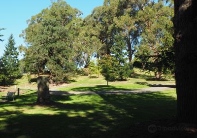 Korumburra Botanic Park