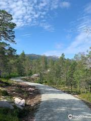 Anderdalen Nasjonalpark