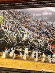 Grandview Clydesdales