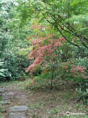 Kelsey Arboretum