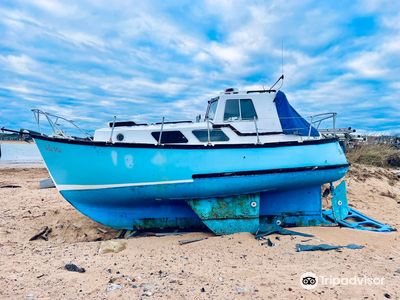 Elie Beach