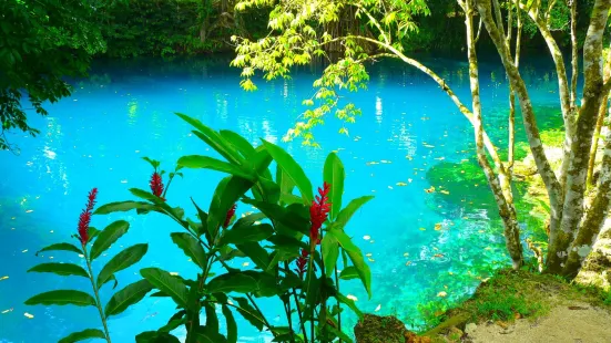 Matevulu Blue Hole