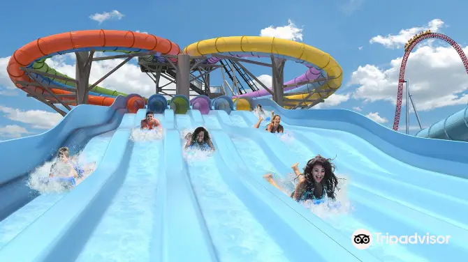 Welcome Suica&JR Line One Day Pass (Pick up at Haneda Airport)