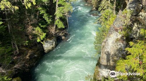 Cheakamus River