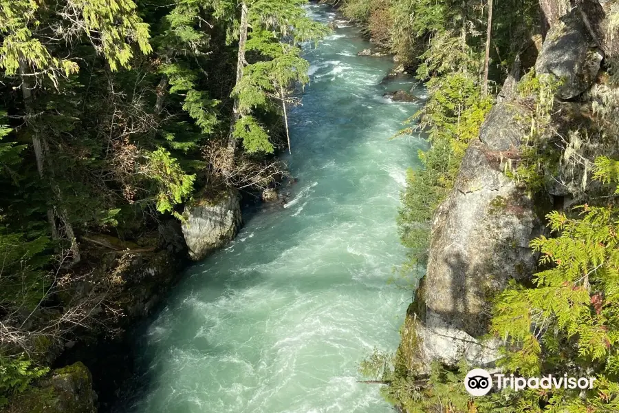 Cheakamus River