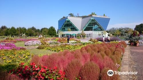 國營木曾三川公園 花卉公園江南