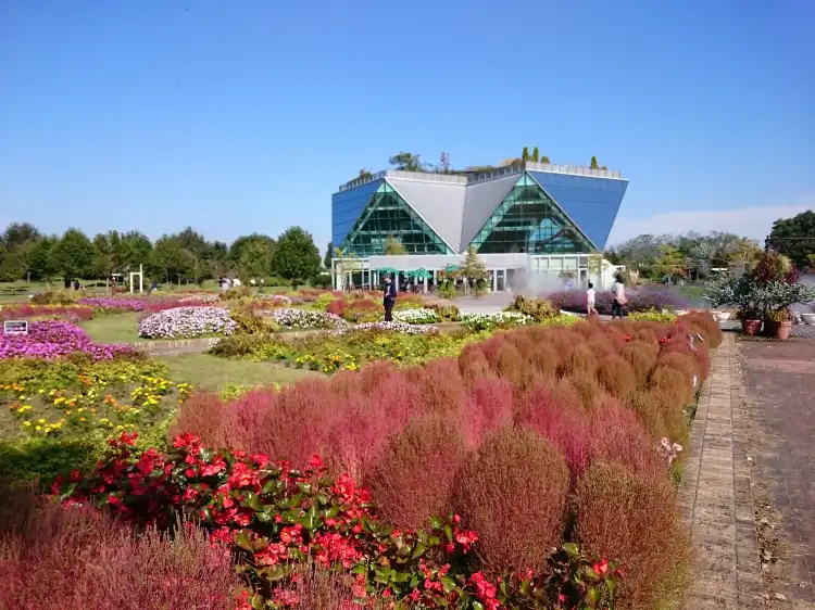 Hotels in Konan