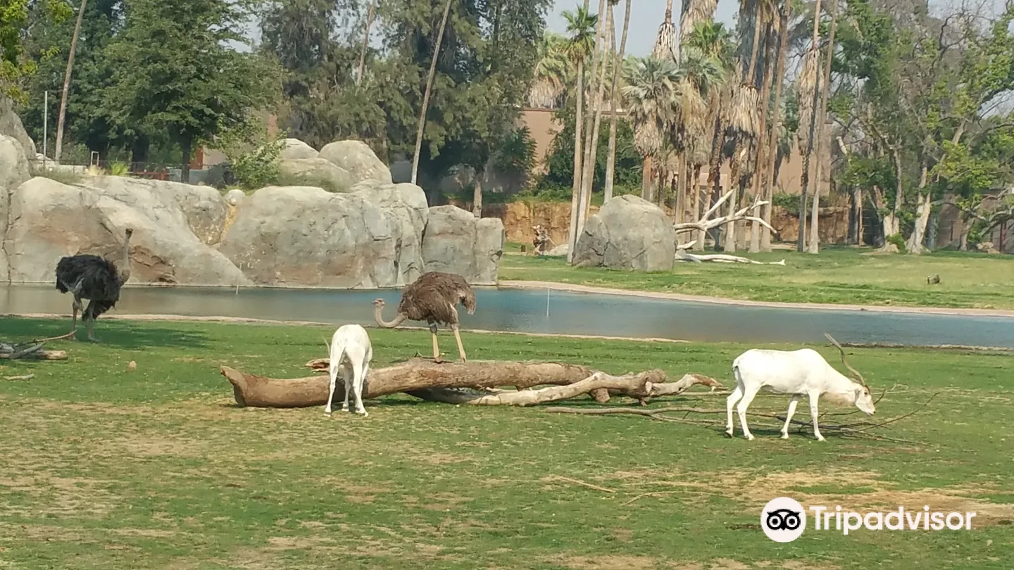 5_Fresno Chaffee Zoo