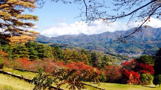 Matsumoto City Alps Park