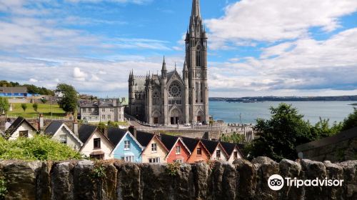 St. Colman's Cathedral, Cobh