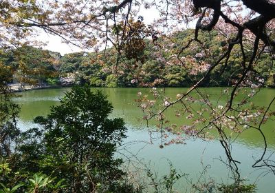 桜ヶ池