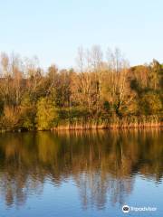 Southwater Country Park