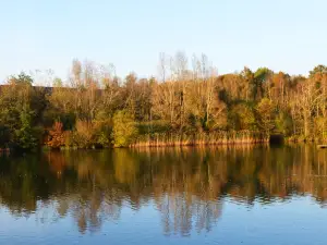 Southwater Country Park