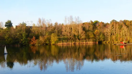 Southwater Country Park