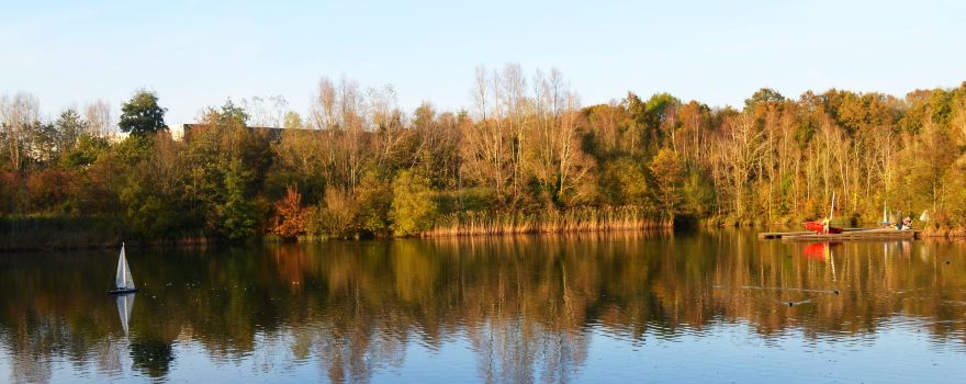 Southwater Country Park