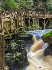 Bushkill Falls