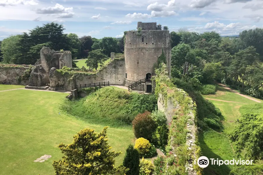 Caldicot Castle