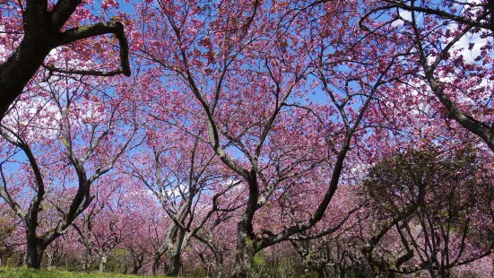 Shizuminefurusato Park