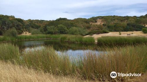 Foothill Regional Park