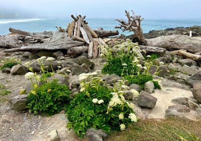 Yachats State Park