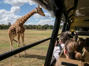 Taronga Western Plains Zoo