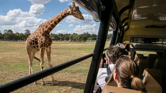 Taronga Western Plains Zoo