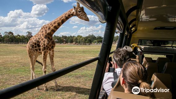 Savannah Cabins, Taronga Western Plains Zoo
