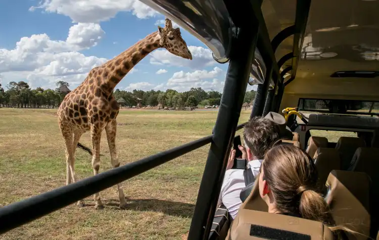Hotels near Savannah Cabins, Taronga Western Plains Zoo