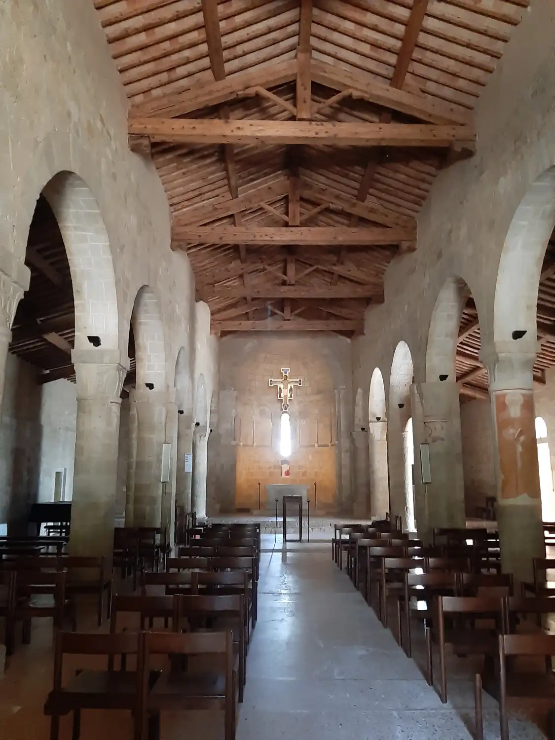 Hotel in zona Pieve di Cellole