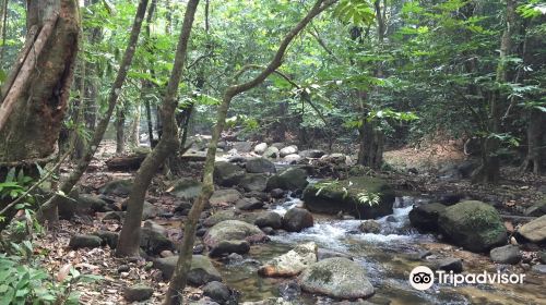 Sungai Tua Recreational Forest