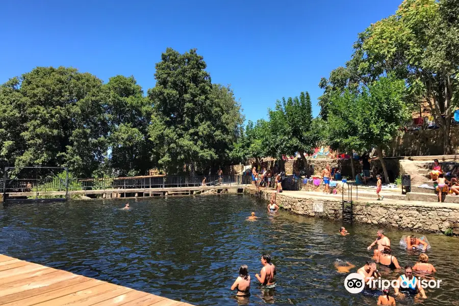 Natural Pool Casas Del Monte