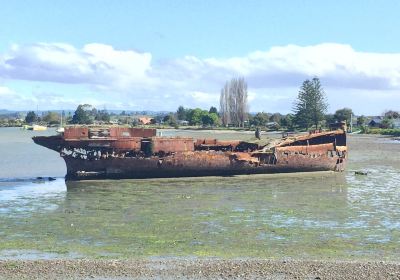 Janie Seddon Shipwreck