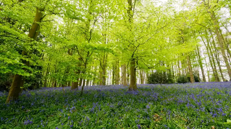 Hotels near Coton Manor Garden
