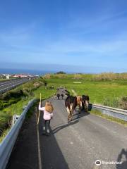 Âmago Wellness Farm (formerly The Farm Azores)