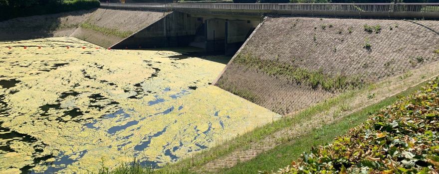 Bitburg Reservoir