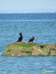 Sunken Meadow State Park