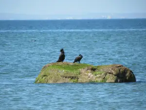 Sunken Meadow State Park