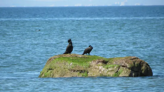 Sunken Meadow State Park