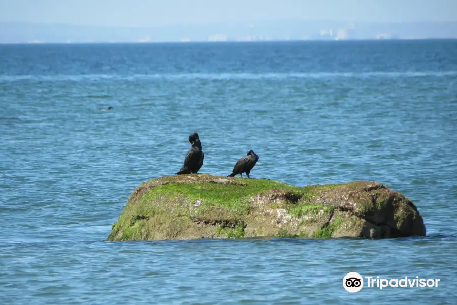 Sunken Meadow State Park