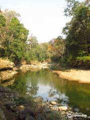 Alaungdaw Kathapa National Park