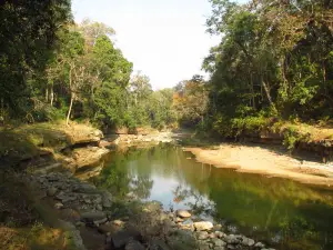 Alaungdaw Kathapa National Park