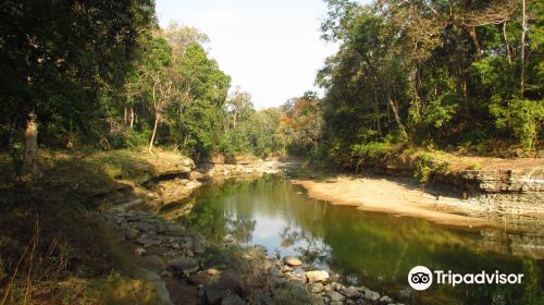 Alaungdaw Kathapa National Park