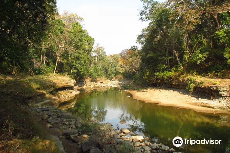 Alaungdaw Kathapa National Park