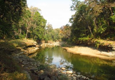 Alaungdaw Kathapa National Park