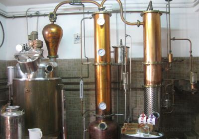 Distillerie Lussurgesi